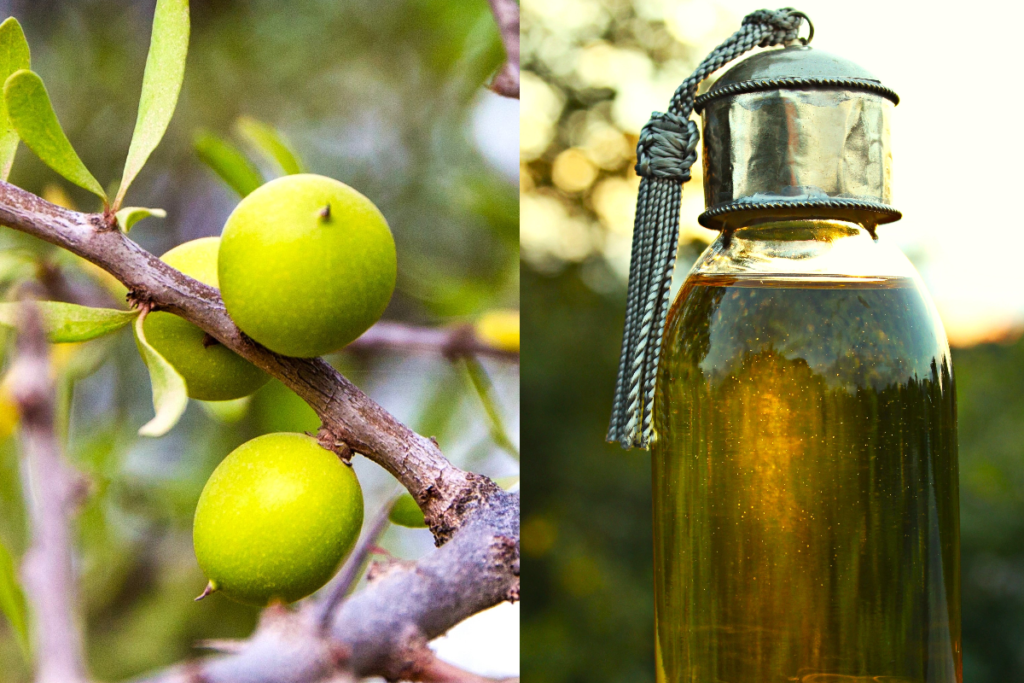 Argan yağı nedir 10 faydası ve kullanım alanları