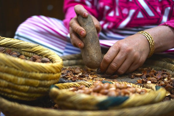 Argan yağı üretim